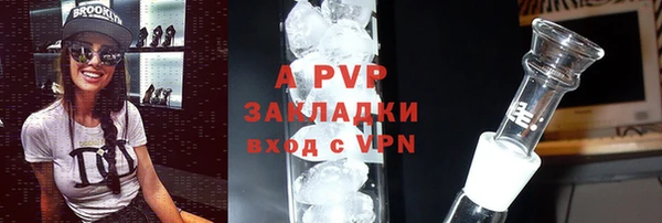 гашик Инсар