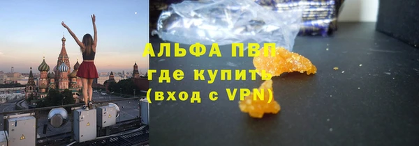 PSILOCYBIN Инта