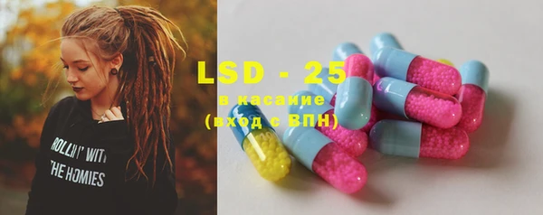 PSILOCYBIN Инта