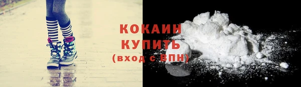 гашик Инсар