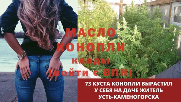 гашик Инсар
