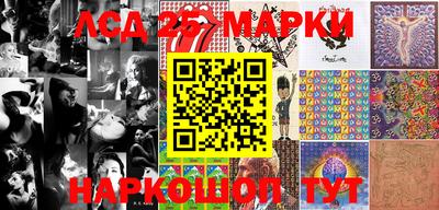 гидра Аргун