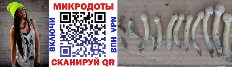 Галлюциногенные грибы ЛСД  Великие Луки 