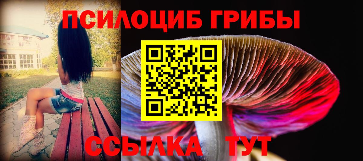 Галлюциногенные грибы мухоморы  Великие Луки  Псилоцибиновые грибы мухоморы 