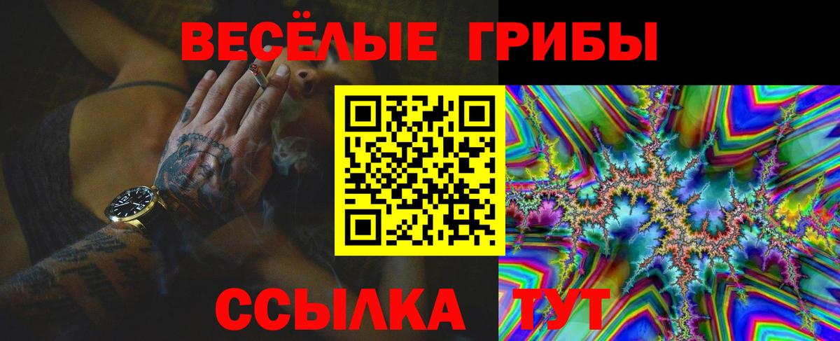Великие Луки  Псилоцибиновые грибы MAGIC MUSHROOMS  Вход с VPN  Галлюциногенные грибы Psilocybe 